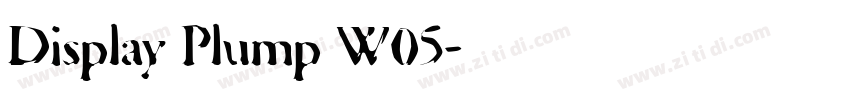 Display Plump W05字体转换